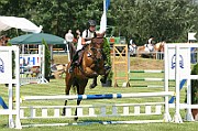 12_IMG_0007