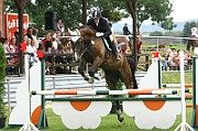 03_2_IMG_0052