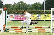 21_IMG_0008