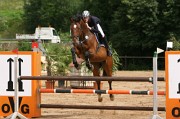 IMG_0050