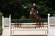 IMG_0084