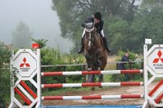 IMG_0006