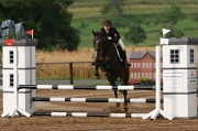 IMG_0006
