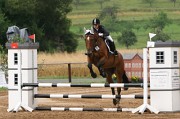 IMG_0051