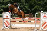 IMG_0045