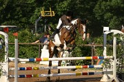 IMG_0006