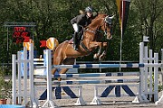 9_IMG_0008