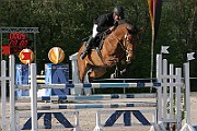 9_IMG_0014