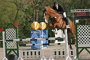 10IMG_0037
