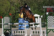 10IMG_0111