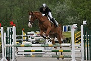 11_IMG_0008