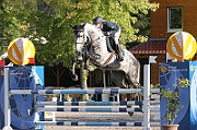 13_IMG_0081