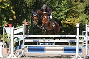 07_IMG_0011
