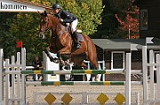 08_IMG_0010