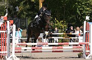 14_IMG_0011