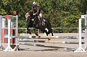 14_IMG_0014