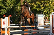 15_IMG_0003