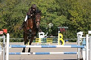 17_IMG_0005