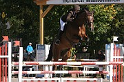 17_IMG_0006