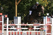 17_IMG_0008