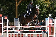 17_IMG_0010