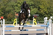 17_IMG_0011