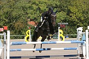 17_IMG_0013