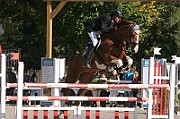 17_IMG_0022