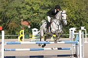 17_IMG_0031