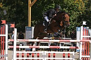 17_IMG_0034