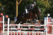 17_IMG_0036