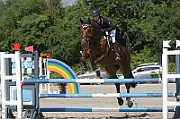 IMG_0010