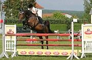 13_IMG_0029