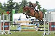 11_1IMG_0019