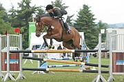 11_2IMG_0010