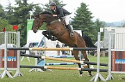 11_2IMG_0015