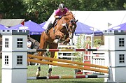 IMG_0053