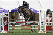 IMG_0027