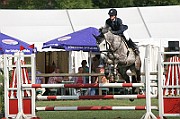 IMG_0051