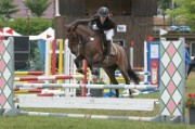 03_IMG_0029