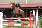 13_IMG_0008