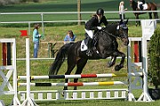 17_IMG_0008