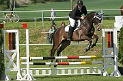17_IMG_0010