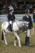 IMG_0011