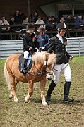 IMG_0031