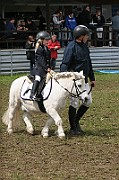 IMG_0038