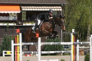 01_IMG_0059
