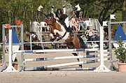 17_IMG_0019