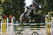 04_IMG_0008