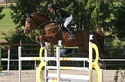 04_IMG_0013